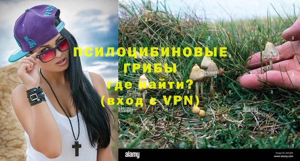 кристаллы Бородино