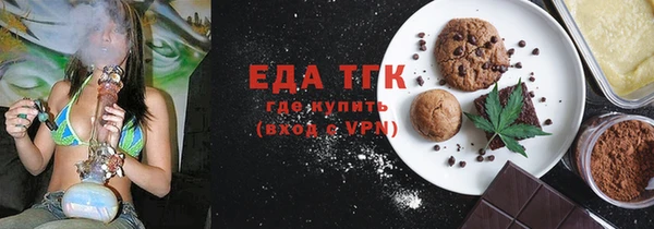 индика Вяземский