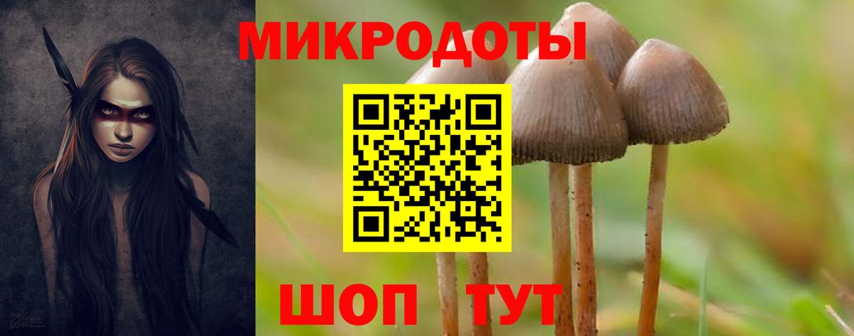 Галлюциногенные грибы Psilocybine cubensis Гай