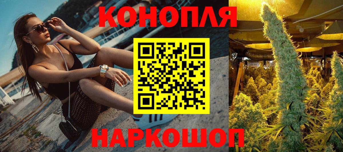 Бошки Шишки семена  Шишки марихуана план  Вход с VPN  Гай 
